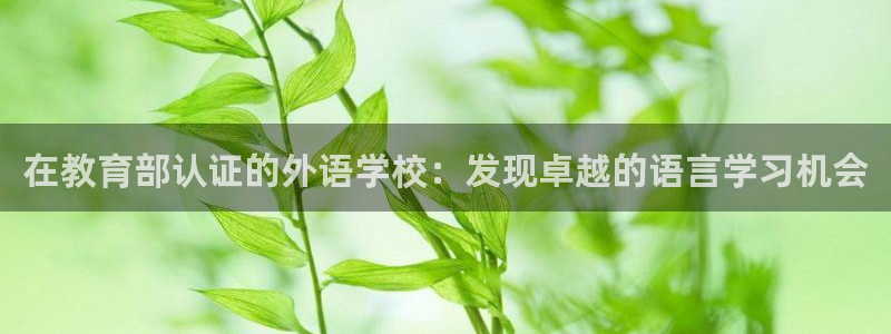 九游老哥俱乐部官方网站
